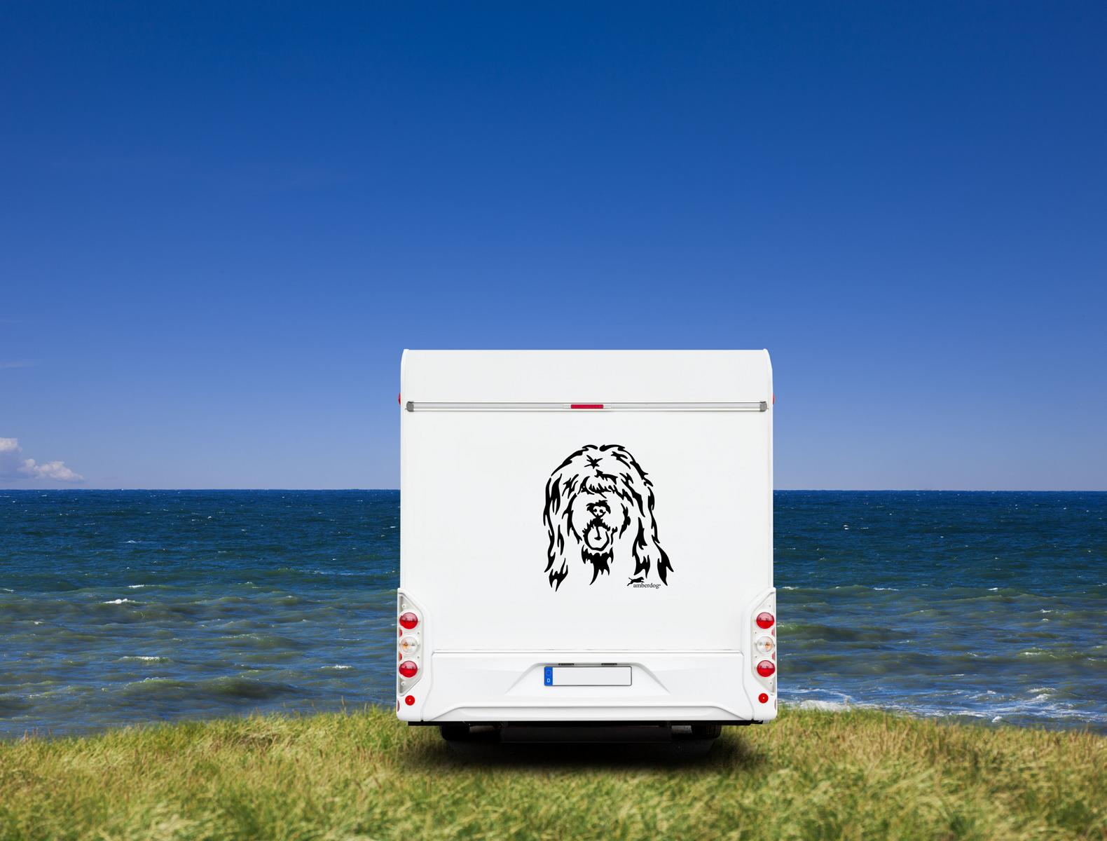 Briard Kopf Wohnmobil Aufkleber I Wandtattoo - H30cm / Weiß