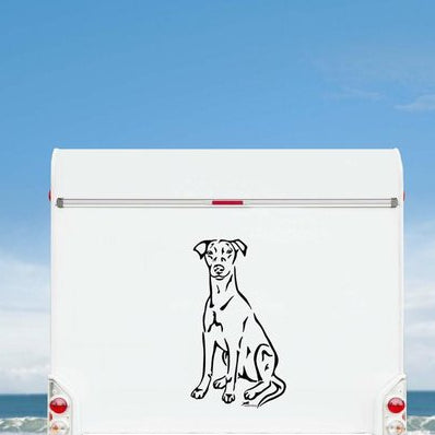 Deutscher Pinscher Aufkleber & Wandtattoo | Ganzkörper-Motiv Auto, Wohnmobil, Fenster - H20cm / Weiß