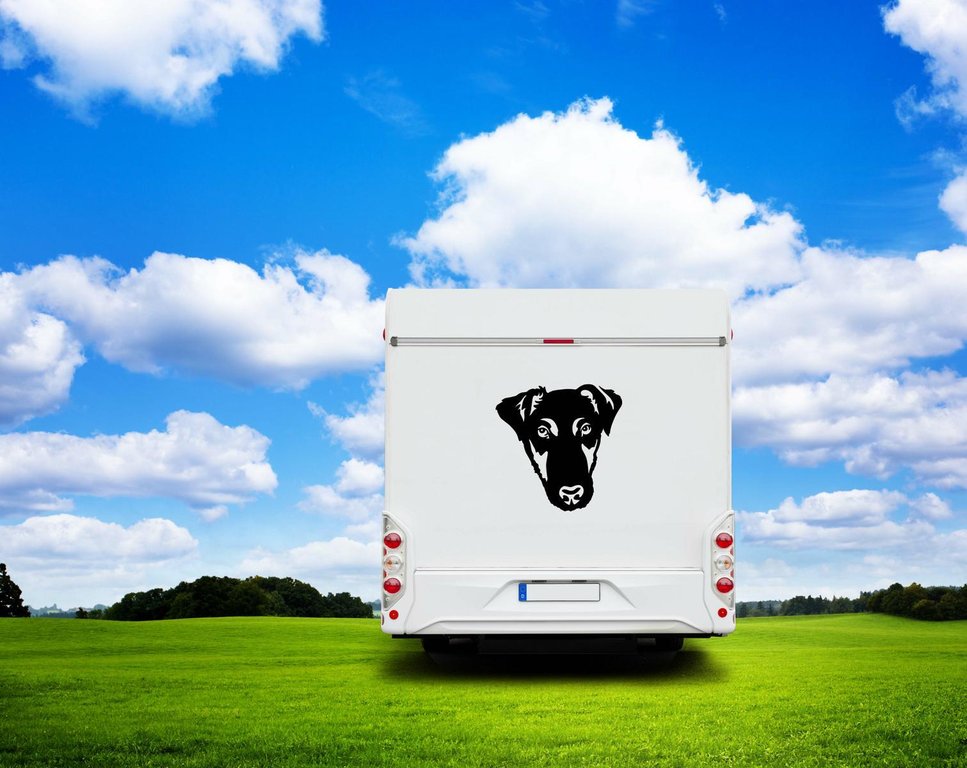 Foxterrier Glatthaar Kopf Wohnmobil Aufkleber I Wandtattoo - H20cm / Schwarz