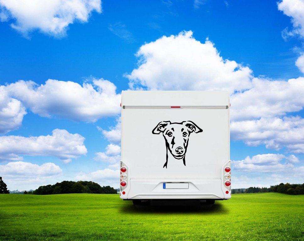 Galgo Kopf Auto Wohnmobil Aufkleber I Wandtattoo - H20cm / Weiß