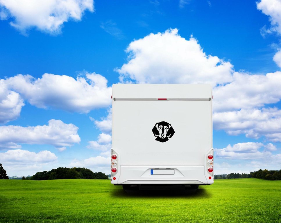 Griechische Bracke Kopf Auto Wohnmobil Aufkleber I Wandtattoo - H20cm / Weiß