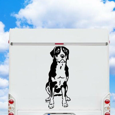 Großer Schweizer Sennenhund Aufkleber & Wandtattoo | Auto, Wohnmobil, Fenster - H20cm / Weiß