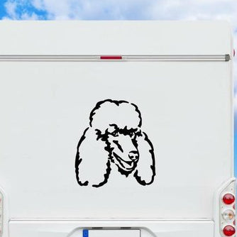 Pudel Großpudel Königspudel Kopf Auto Wohnmobil Aufkleber I Wandtattoo - H50cm / Weiß