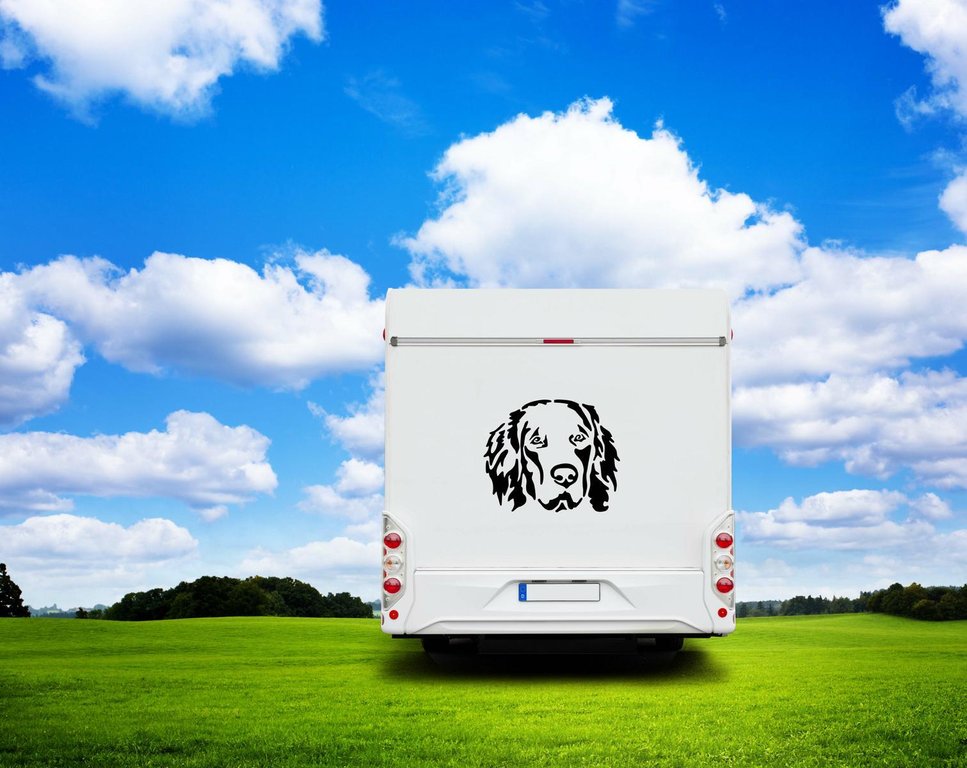 Hovawart Kopf Auto Wohnmobil Aufkleber I Wandtattoo - H50cm / Schwarz