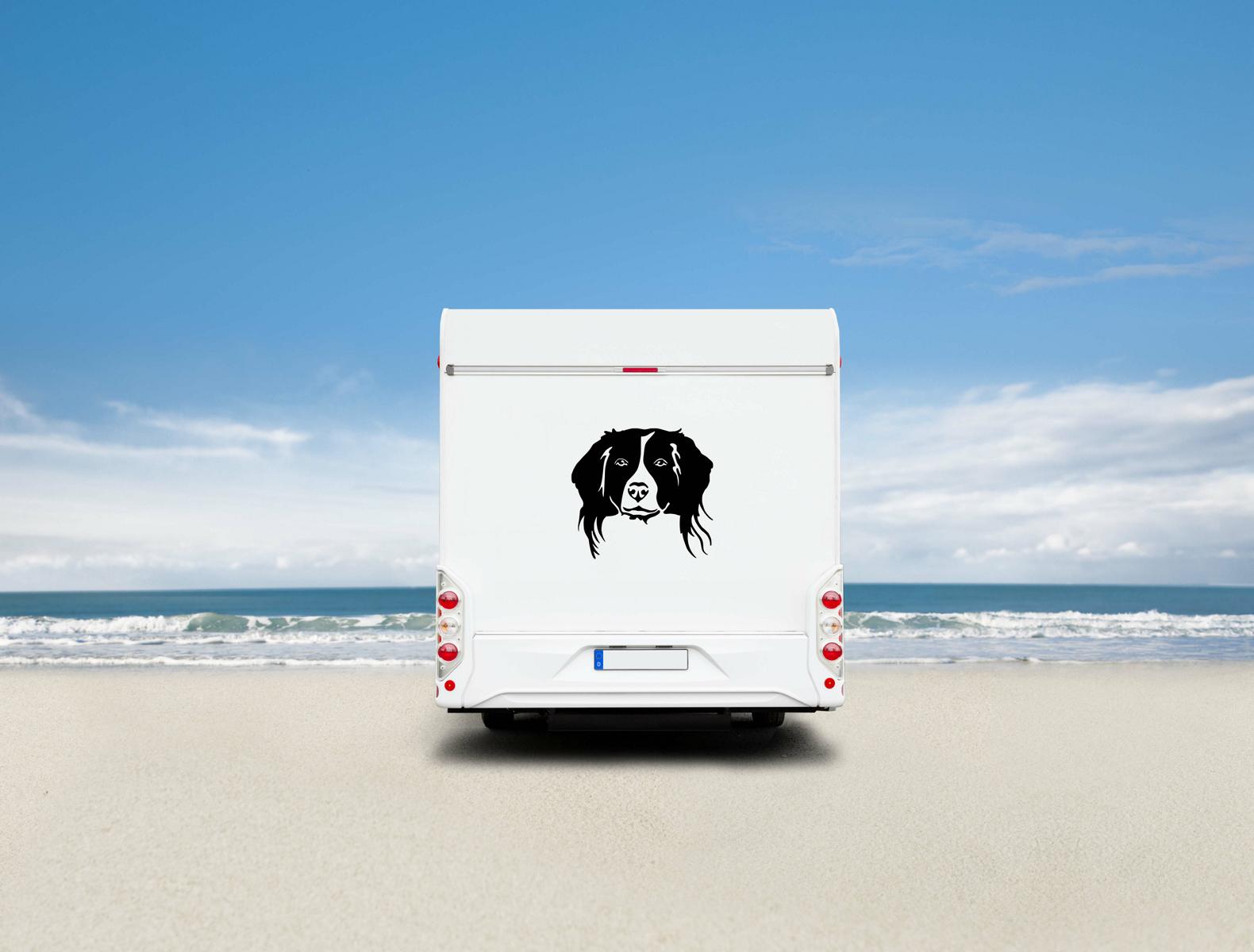 Kooikerhondje Kopf Auto Wohnmobil Aufkleber I Wandtattoo - H20cm / Weiß