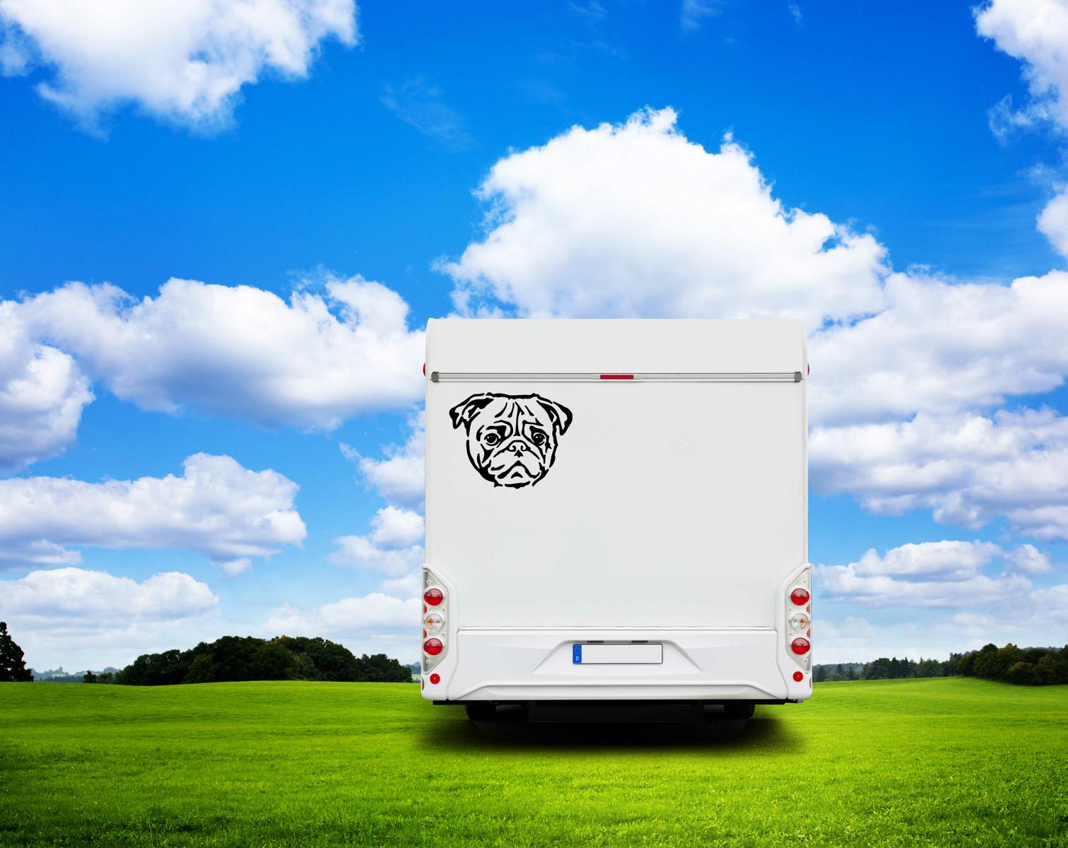 Mops Kopf Auto Wohnmobil Aufkleber I Wandtattoo - H50cm / Weiß