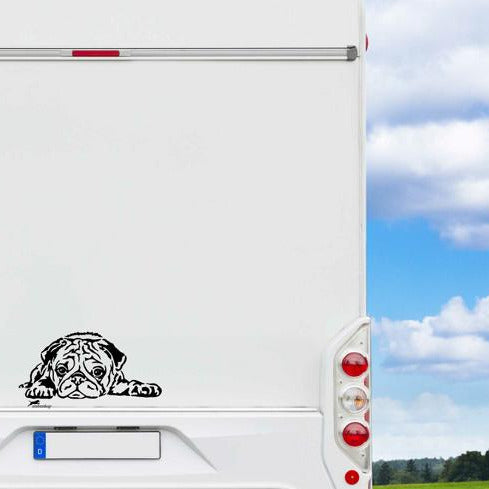 Mops liegend Aufkleber Auto, Wohnmobil & Wandtattoo - H50cm / Weiß