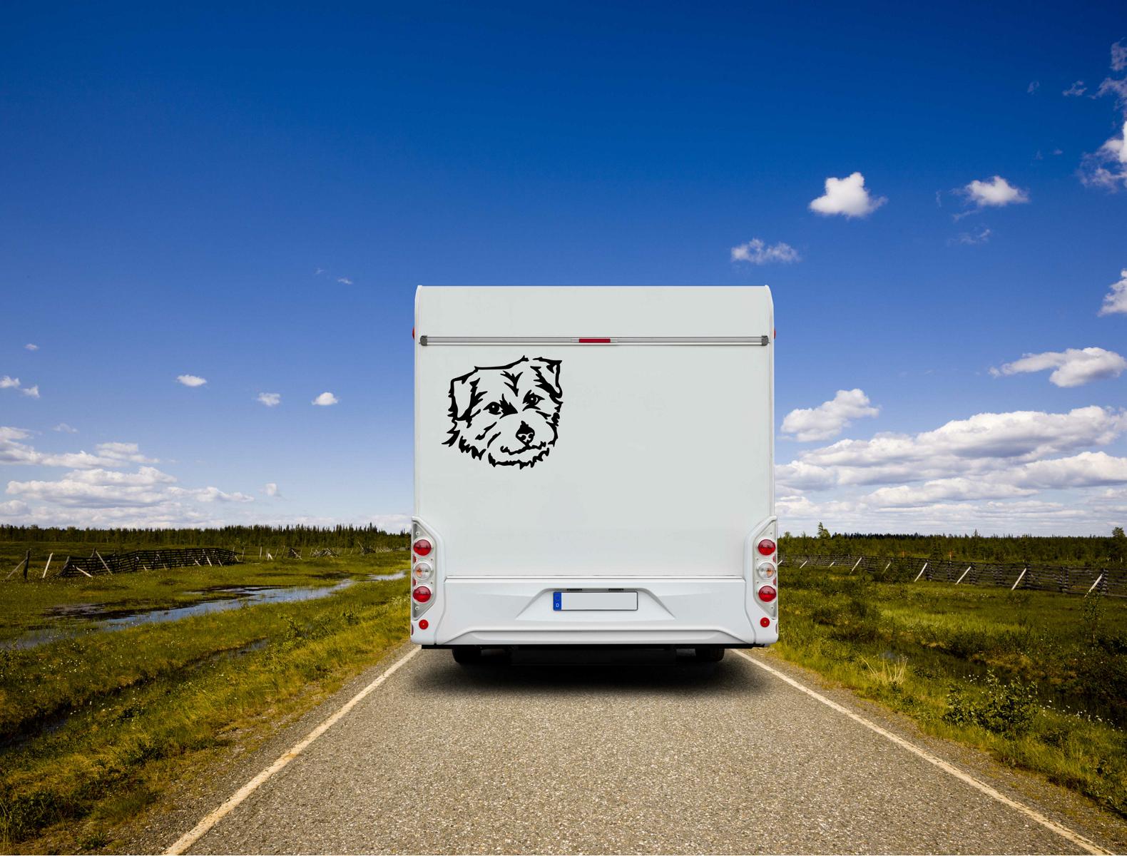 Norfolk Terrier Kopf Auto Wohnmobil Aufkleber I Wandtattoo - H20cm / Schwarz