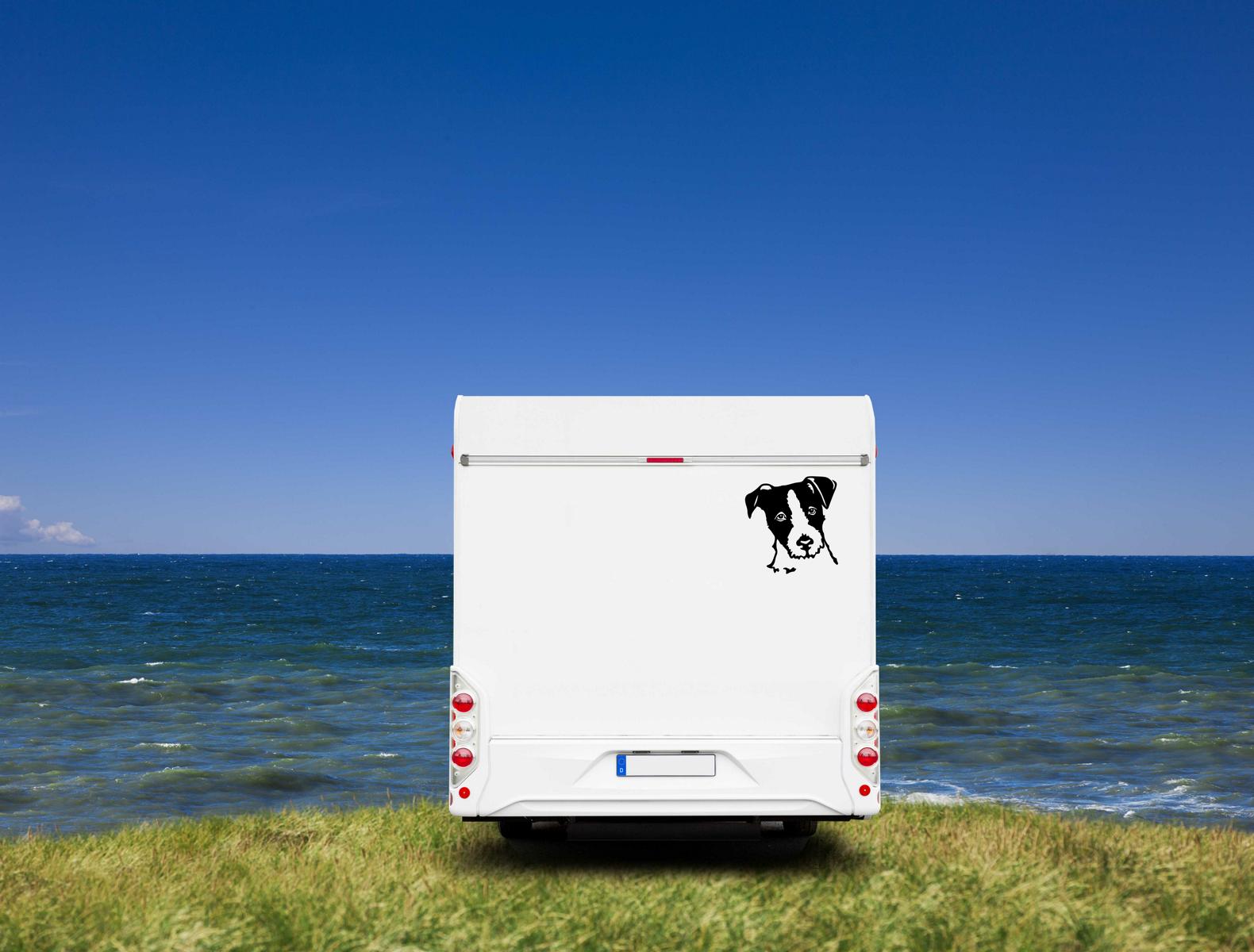 Parson Russel Terrier Kopf Auto Wohnmobil Aufkleber I Wandtattoo - H50cm / Weiß