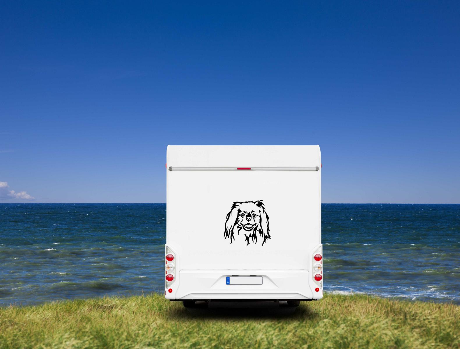 Pekinese Kopf Auto Wohnmobil Aufkleber I Wandtattoo - H30cm / Schwarz