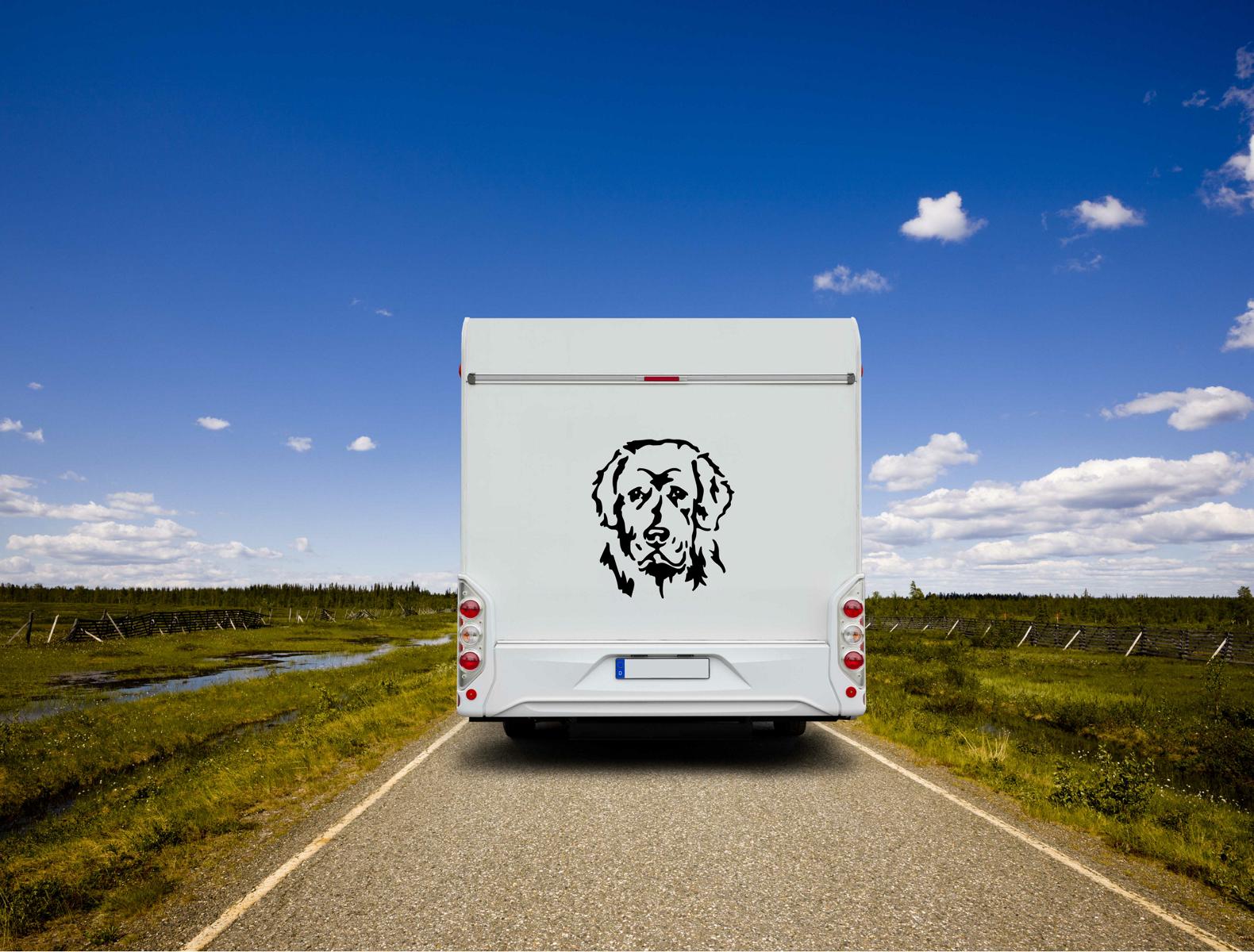 Neufundländer Kopf Auto Wohnmobil Aufkleber  I Wandtattoo - H50cm / Weiß