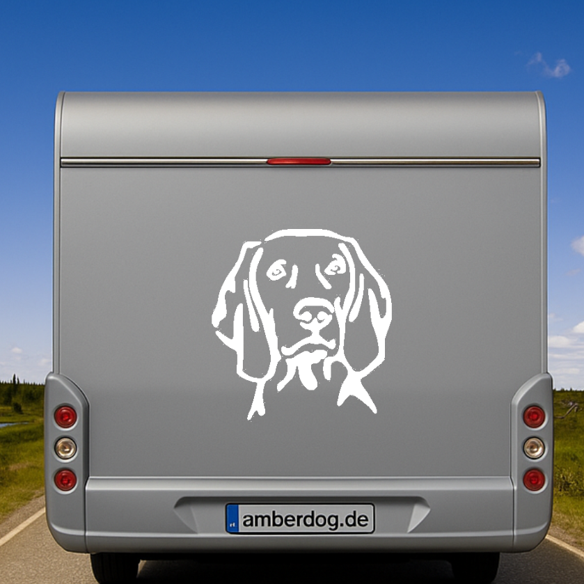 Weimaraner Kopf Auto Wohnmobil Aufkleber I Wandtattoo - H20cm / Weiß