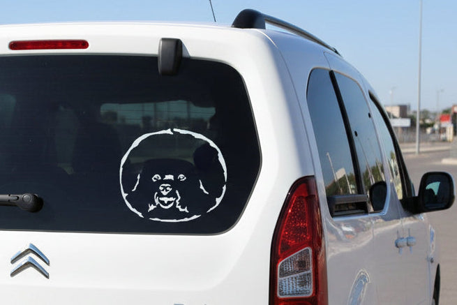 Bichon Frisé Aufkleber Wohnmobil | Hund Kopf Autoaufkleber & Wandtattoo - H50cm / Weiß