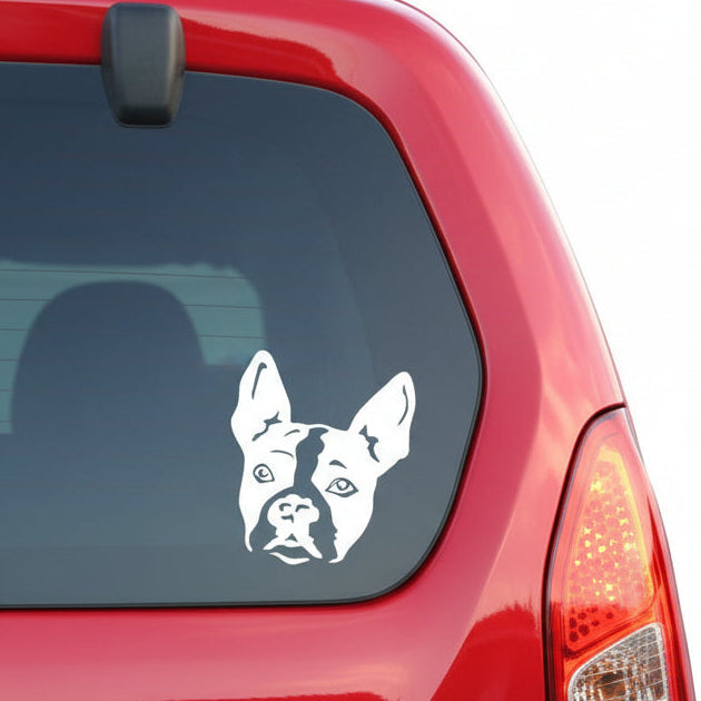 Boston Terrier Aufkleber Wohnmobil | Hund Kopf Autoaufkleber & Wandtattoo - H50cm / Weiß