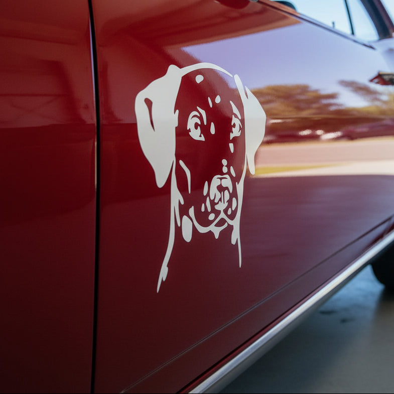 Dalmatiner Kopf Auto Wohnmobil Aufkleber I Wandtattoo - H50cm / Schwarz
