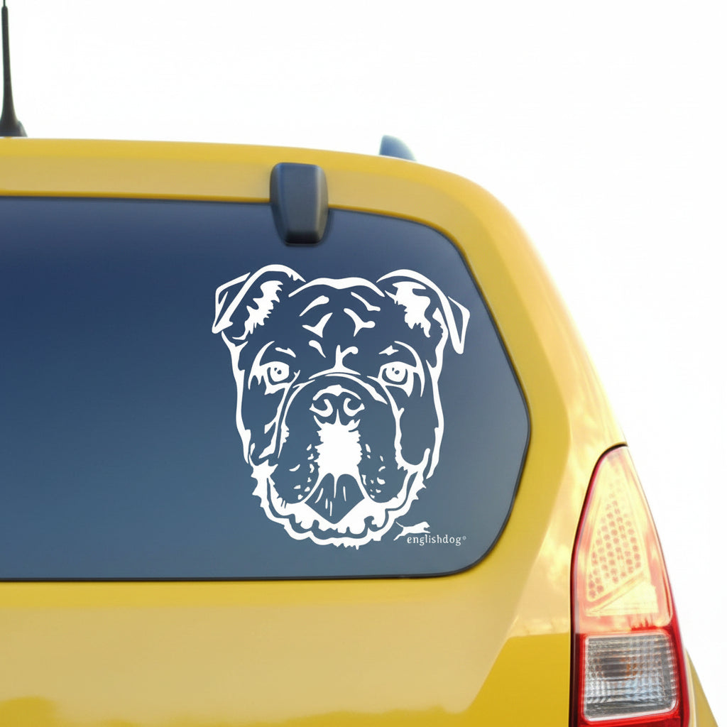Englische Bulldogge Kopf Autoaufkleber l Wandtattoo - H30cm / Weiß