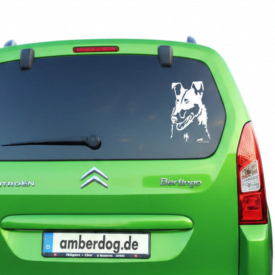 Collie Kurzhaar Kopf Auto Wohnmobil Aufkleber I Wandtattoo - H30cm / Weiß