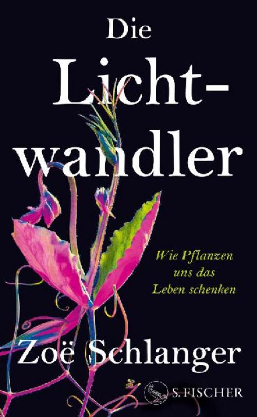 Die Lichtwandler: Wie Pflanzen uns das Leben schenken