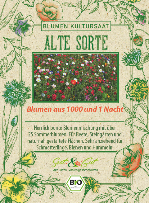 BIO-Blumen aus 1000 und 1 Nacht