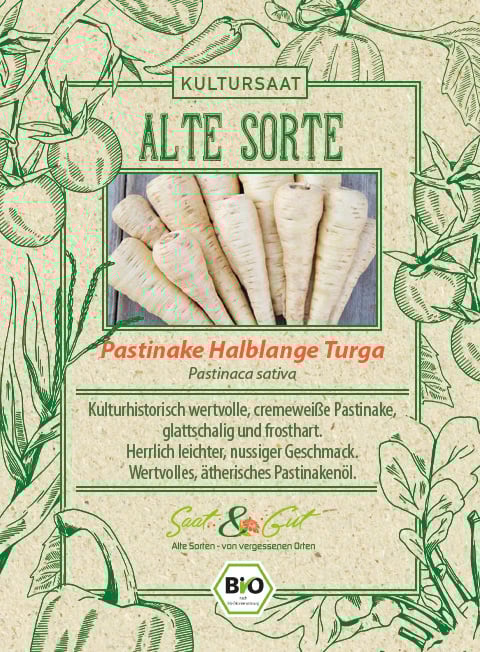 BIO-Pastinake Halblange Turga