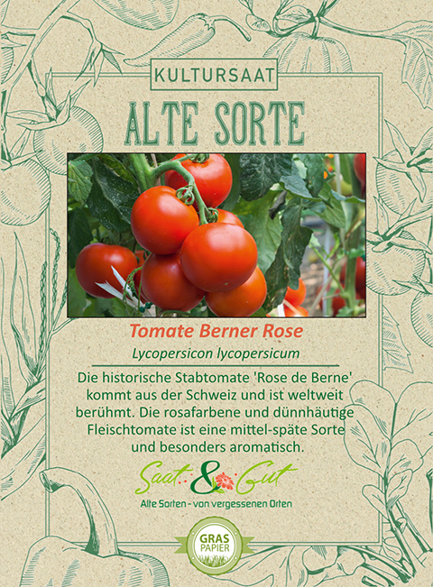 BIO-Tomate Berner Rose