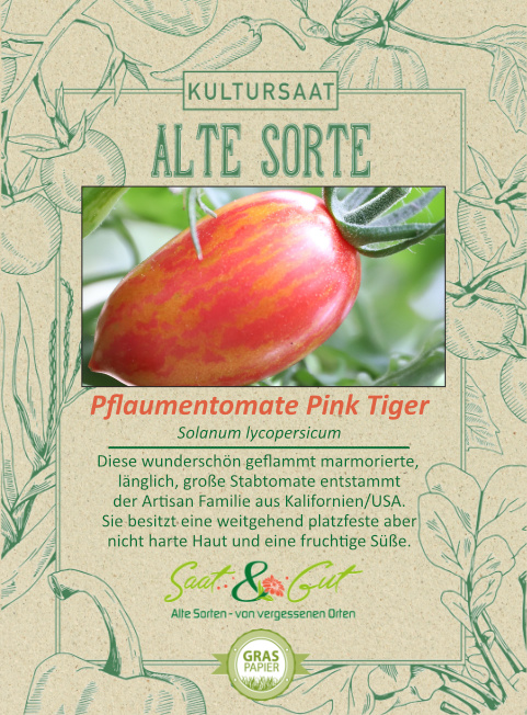 BIO-Pflaumentomate Pink Tiger