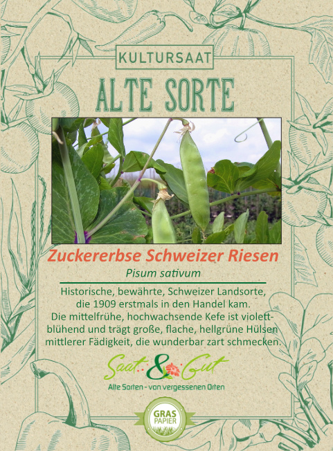 BIO-Zuckererbse Schweizer Riesen