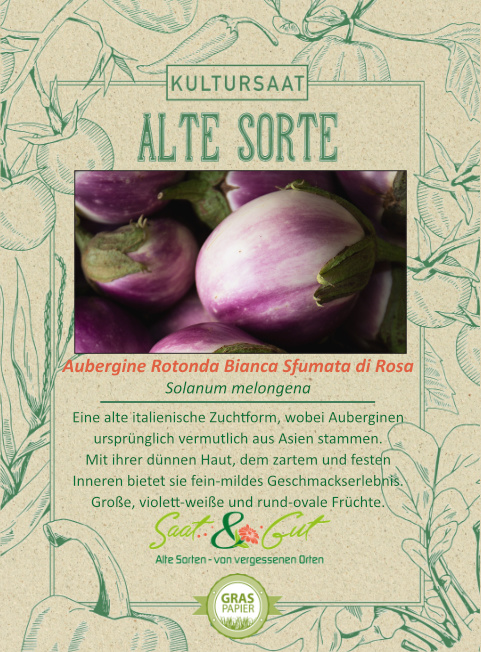 BIO-Aubergine Rotonda Bianca Sfumata di Rosa