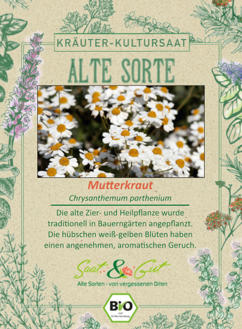 BIO-Mutterkraut