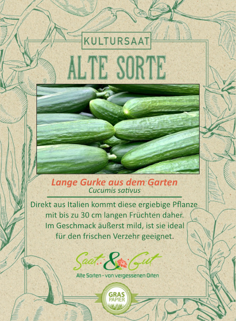 BIO-Lange Gurke aus dem Garten