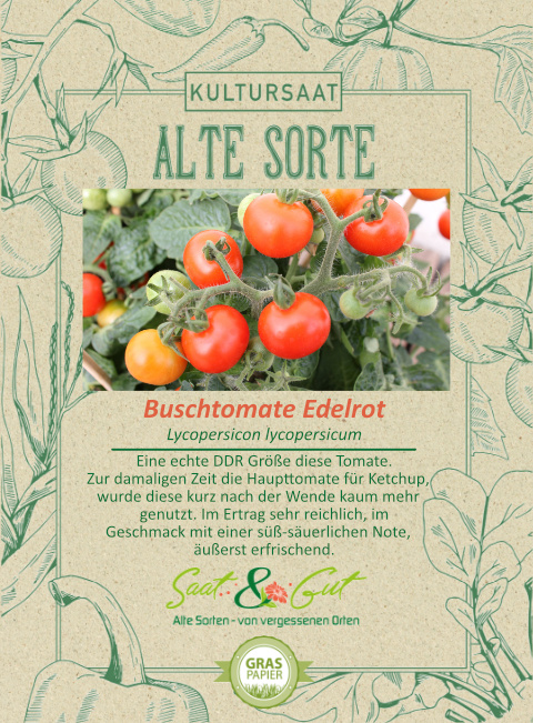 BIO-Buschtomate Edelrot