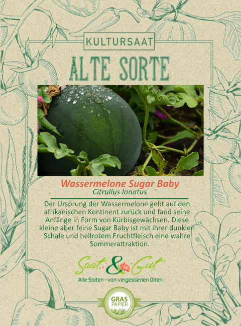 BIO-Wassermelone Sugar Baby