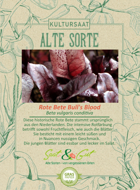 BIO-Rote Bete Bull's Blood