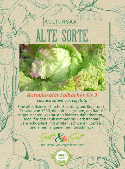 BIO-Bataviasalat Laibacher Eis 2