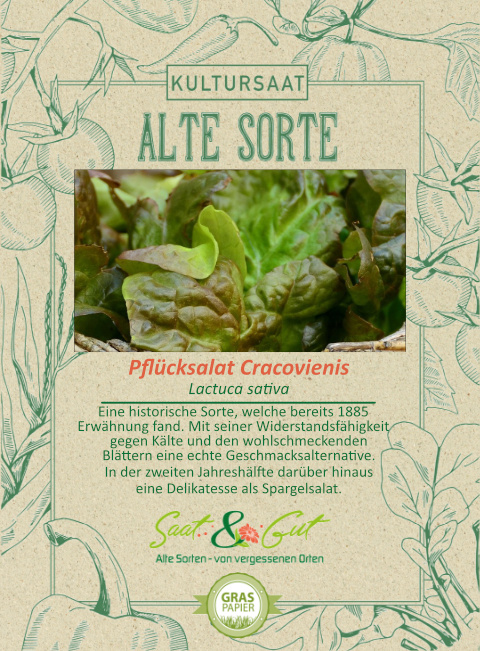 BIO-Pfl?cksalat Cracovienis