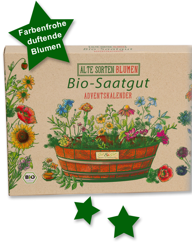 BIO Alte Sorten BLUMEN Saatgut W?rfel-Adventskalender