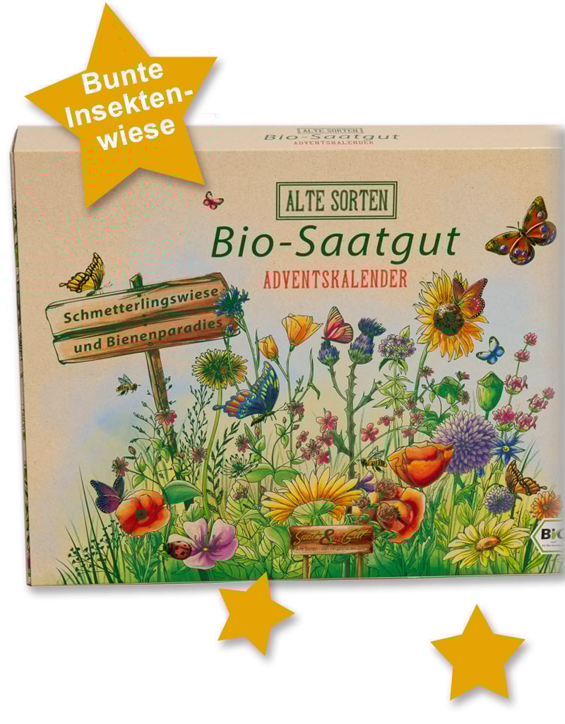 BIO Alte Sorten SCHMETTERLING Saatgut W?rfel-Adventskalender