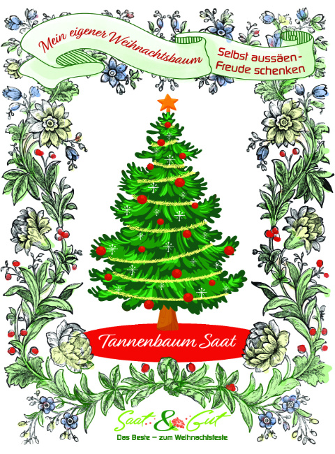 Tannenbaumsaat - Mein eigener Weihnachtsbaum