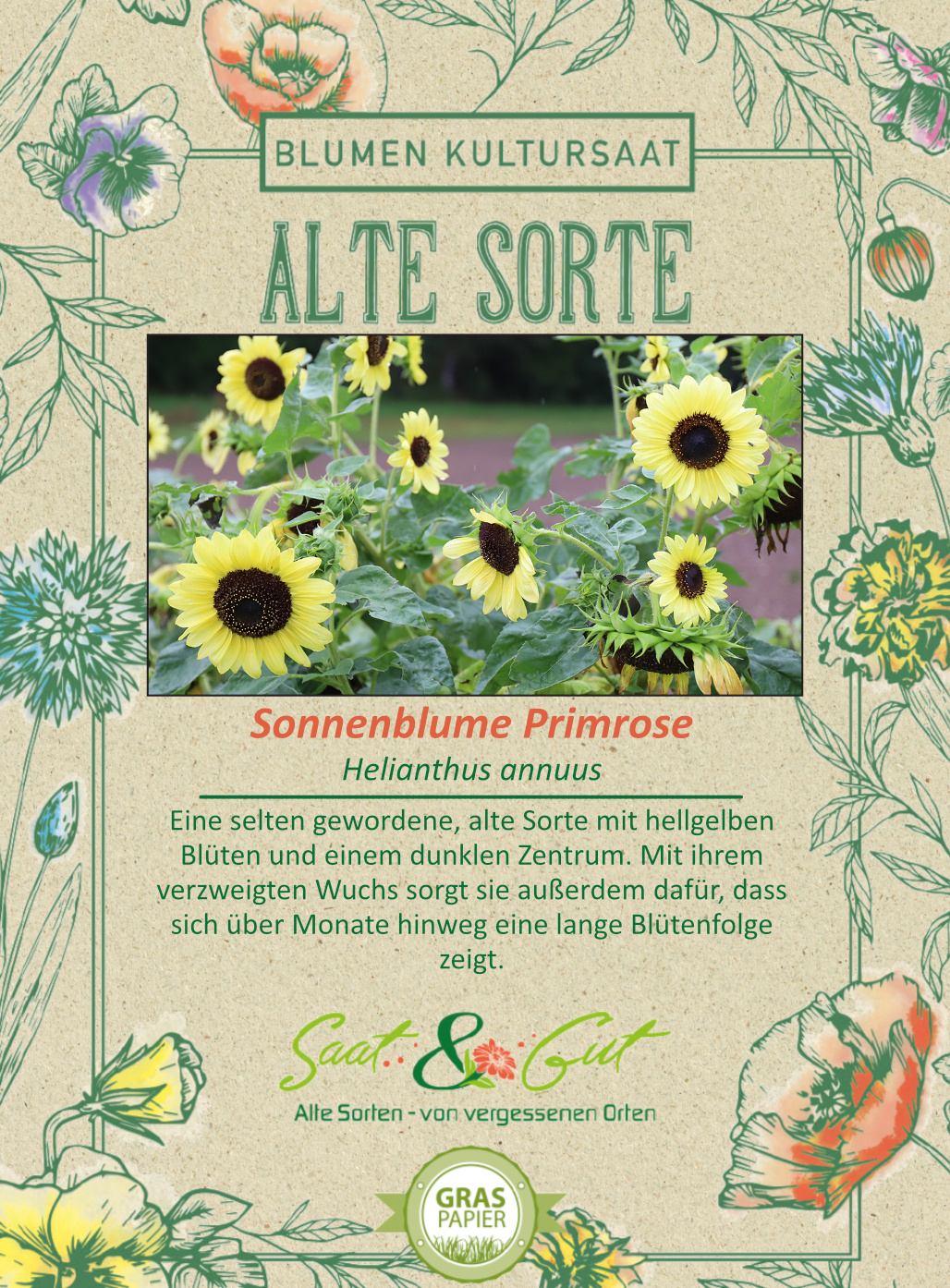 BIO-Sonnenblume Primrose