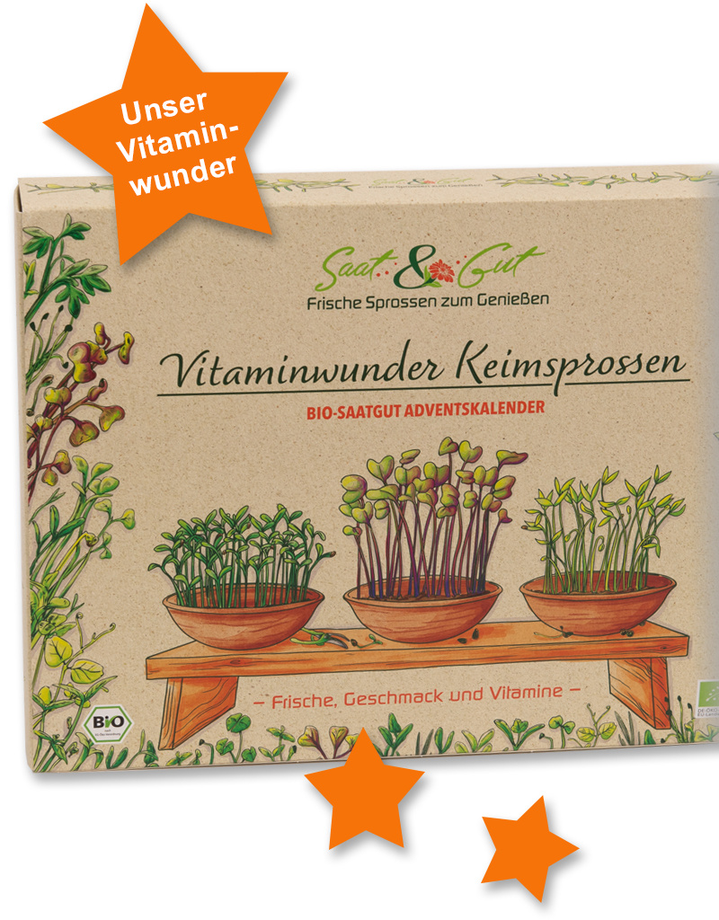 BIO Keimsprossen Saatgut W?rfel-Adventskalender