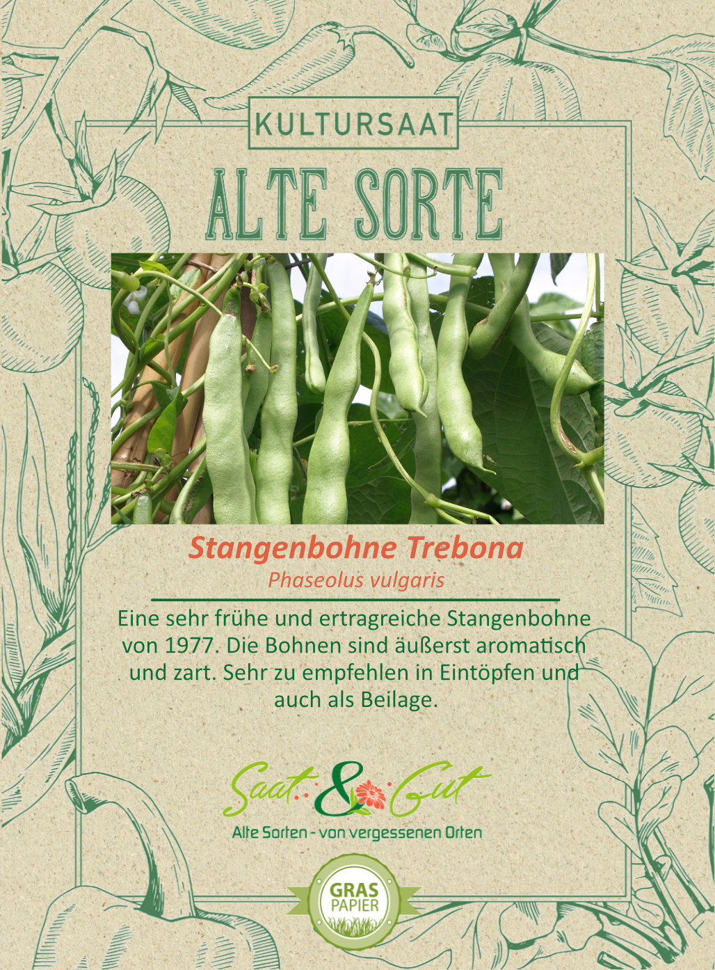 BIO-Stangenbohne Trebona