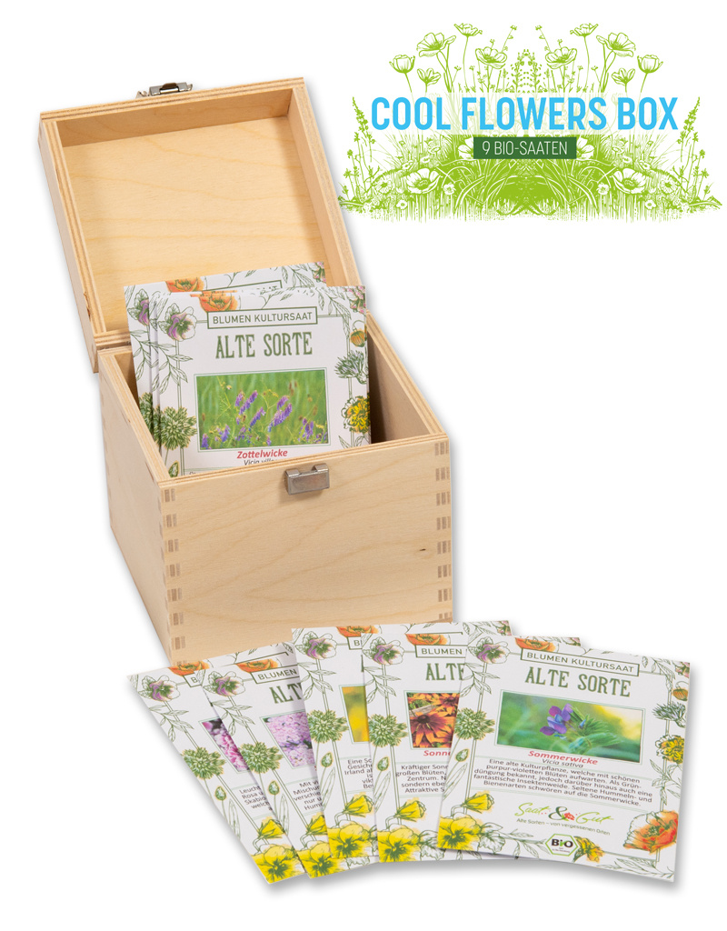 BIO Cool Flowers Saatgut-Box