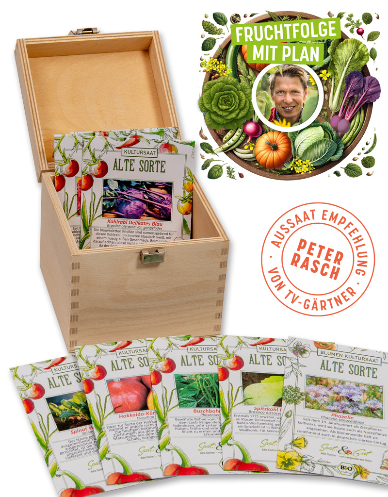 BIO Fruchtfolge mit Plan mit Peter Rasch Saatgut-Box