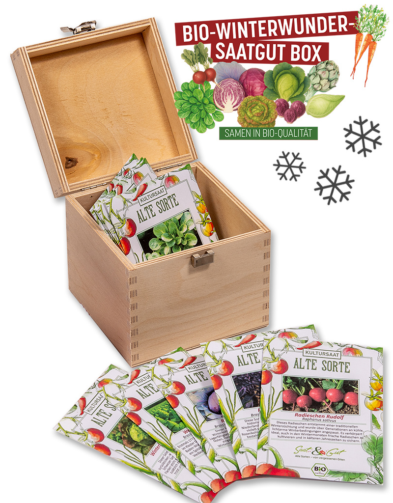 BIO Winterwunder Saatgut-Box