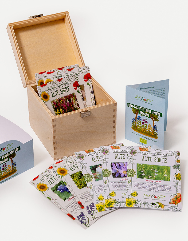 BIO Schattenblumen-Traum Box