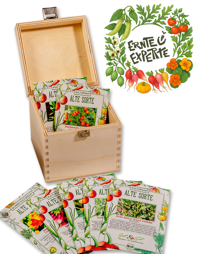 BIO ErnteExperte-Box