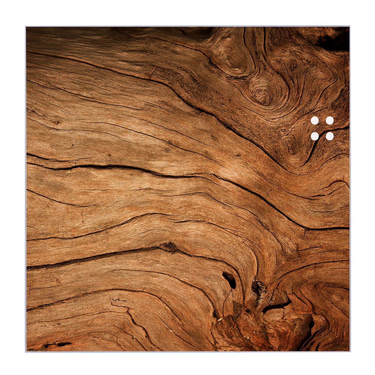 banjado Glas Magnettafel Trockenes Holz 40 x 40 cm rahmenlos & hochwertig, Quadratisch, magnetisch & beschreibbar, 4mm starkes ESG Glas