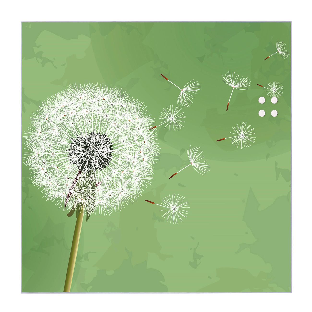 banjado Glas Magnettafel Pusteblume 3 30 x 30 cm rahmenlos & hochwertig, Quadratisch, magnetisch & beschreibbar, 4mm starkes ESG Glas