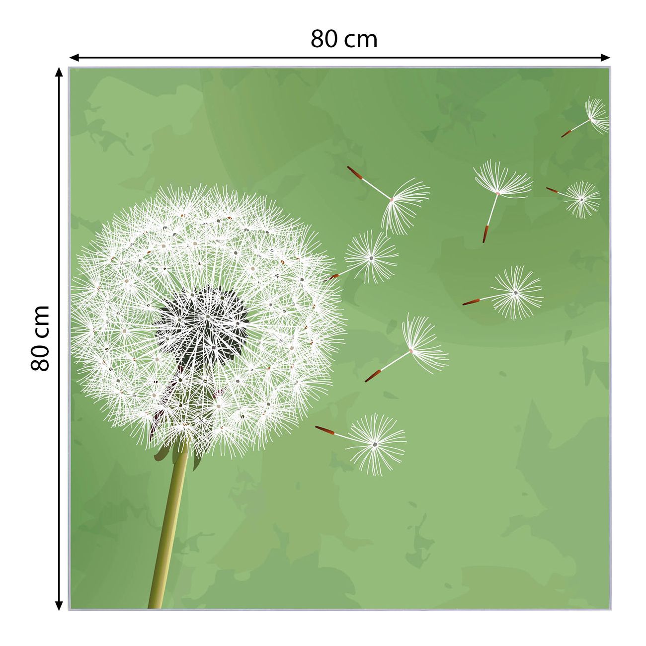 banjado Glas Magnettafel Pusteblume 3 80 x 80 cm rahmenlos & hochwertig, Quadratisch, magnetisch & beschreibbar, 4mm starkes ESG Glas
