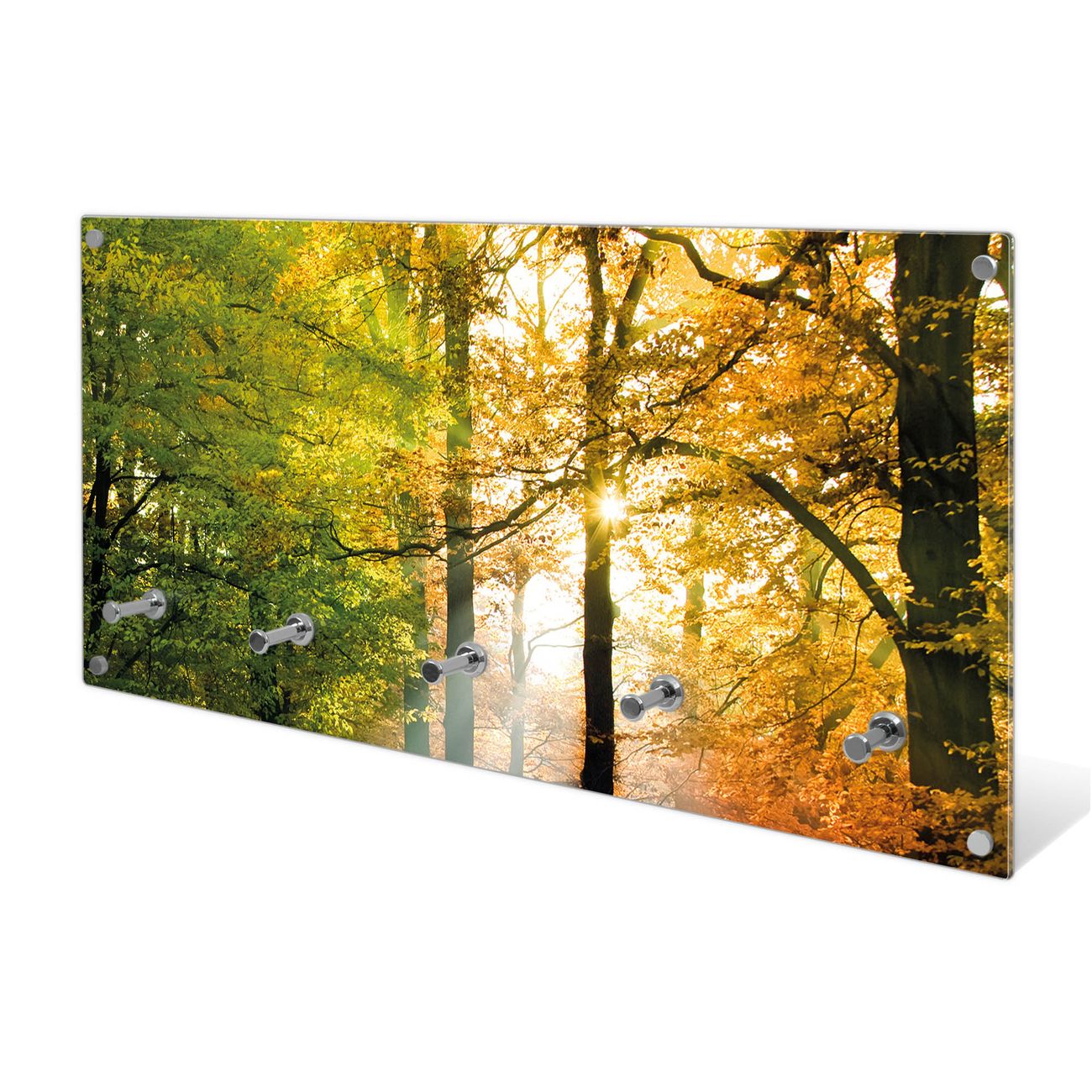 banjado Wandgarderobe aus Echtglas, 80x40cm groß, Paneel mit 5 Haken und Motiv Herbstwald, Garderobenleiste mit Montagematerial, Design Flurgarderobe